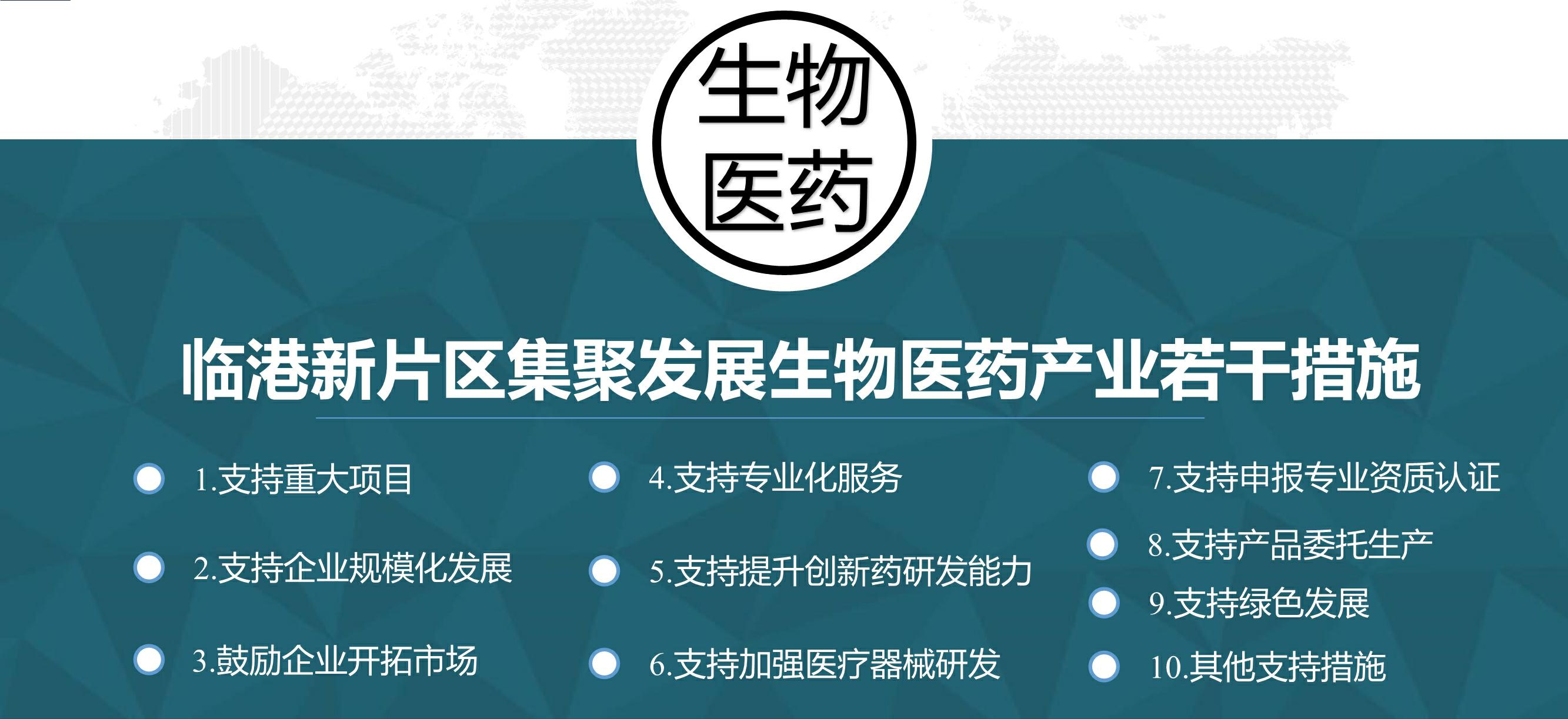 临港奉贤注册公司