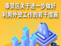 奉贤区关于进一步做好利用外资工作的若干措施
