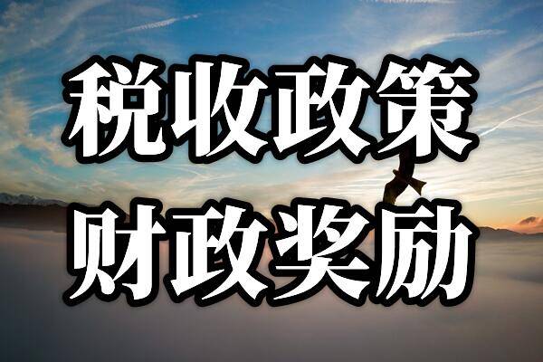 奉贤园区返税