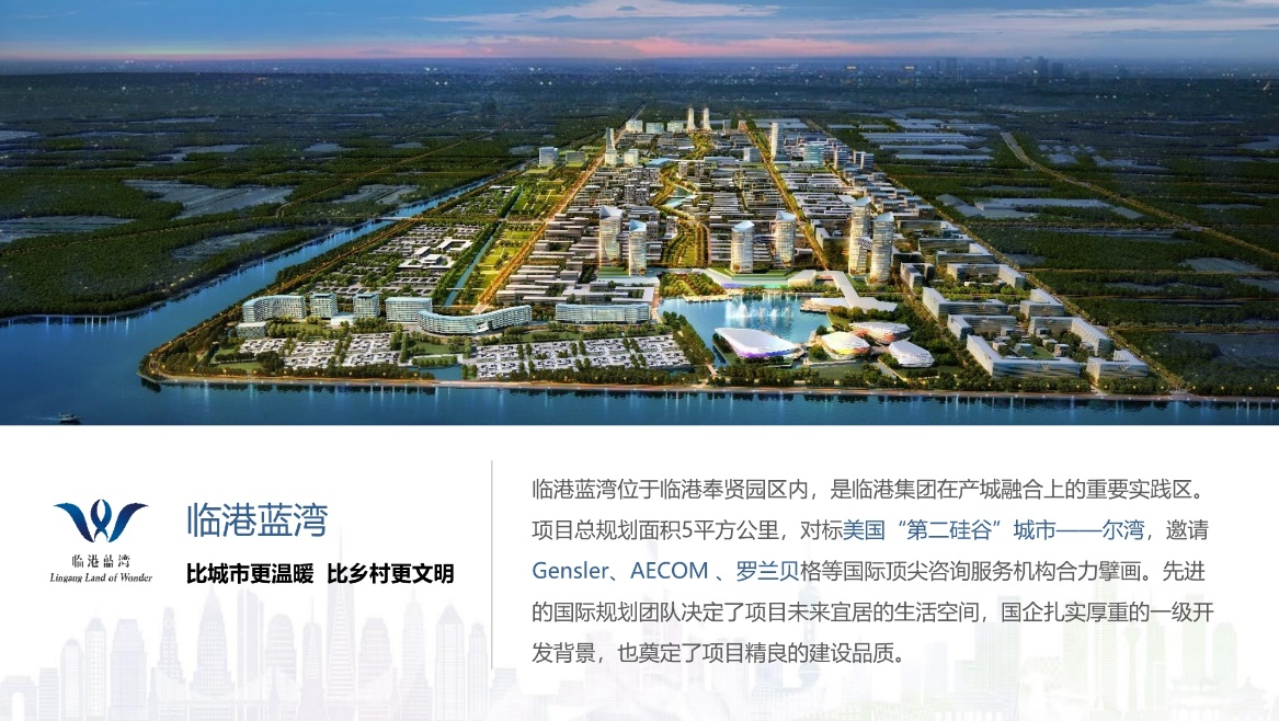 临港海湾注册公司