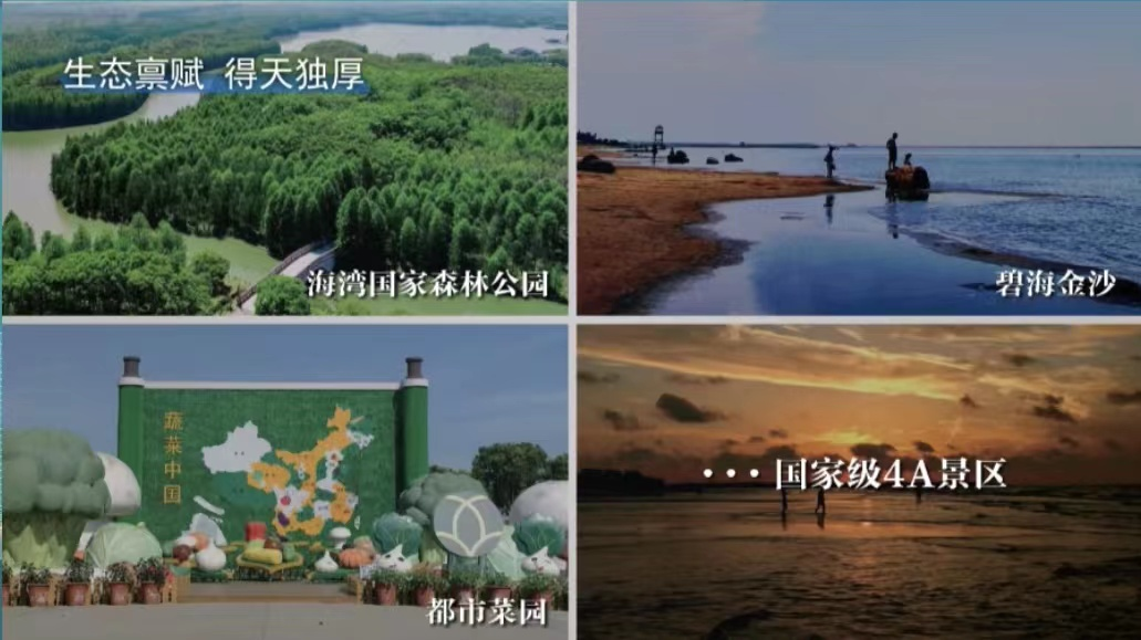 临港海湾注册公司