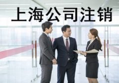 公司注销主要流程-上海临港奉贤经济园区，免费注册公司！多元化服务！